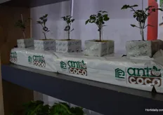 Growers combinate rockwool blocks with coco substrate slabs.